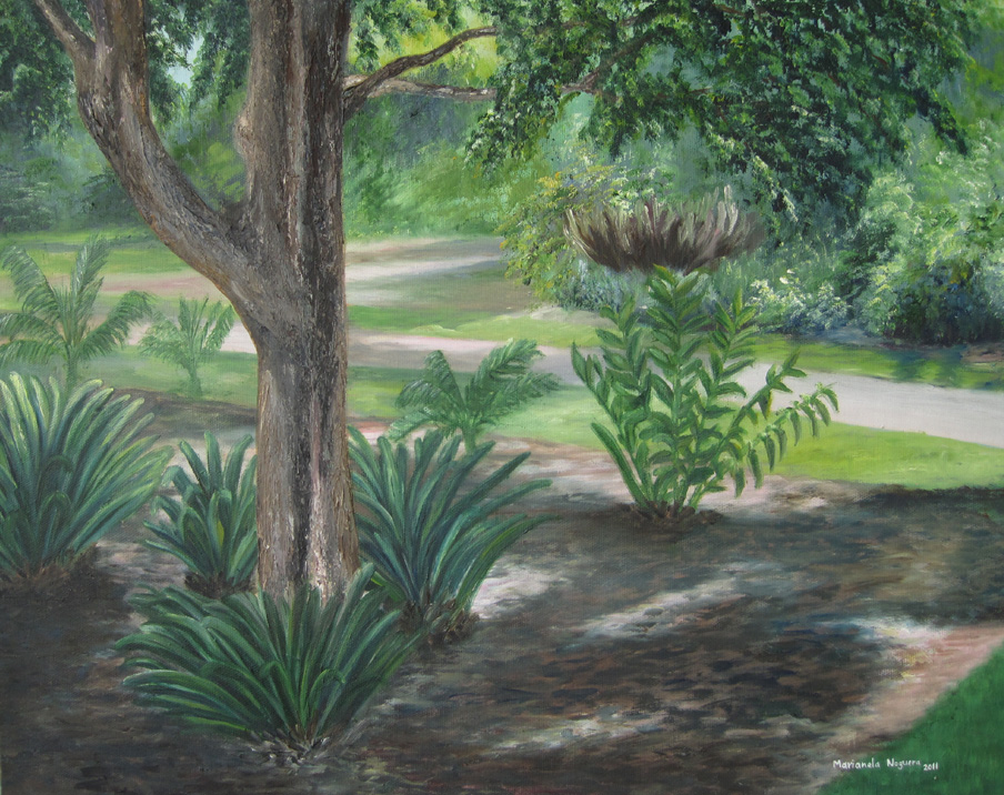 ©Marianela Noguera "Fairchild Tropical Botanic Garden # 5, 2011. 16" x 20" Oil on Canvas. Oil paintings