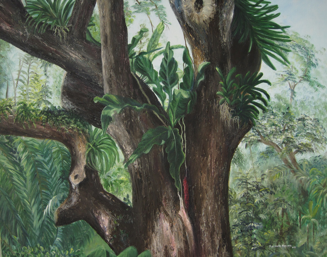 ©Marianela Noguera"Miami Fairchild Botanic Garden #4" 2011. Oil on canvas. 16"x20"